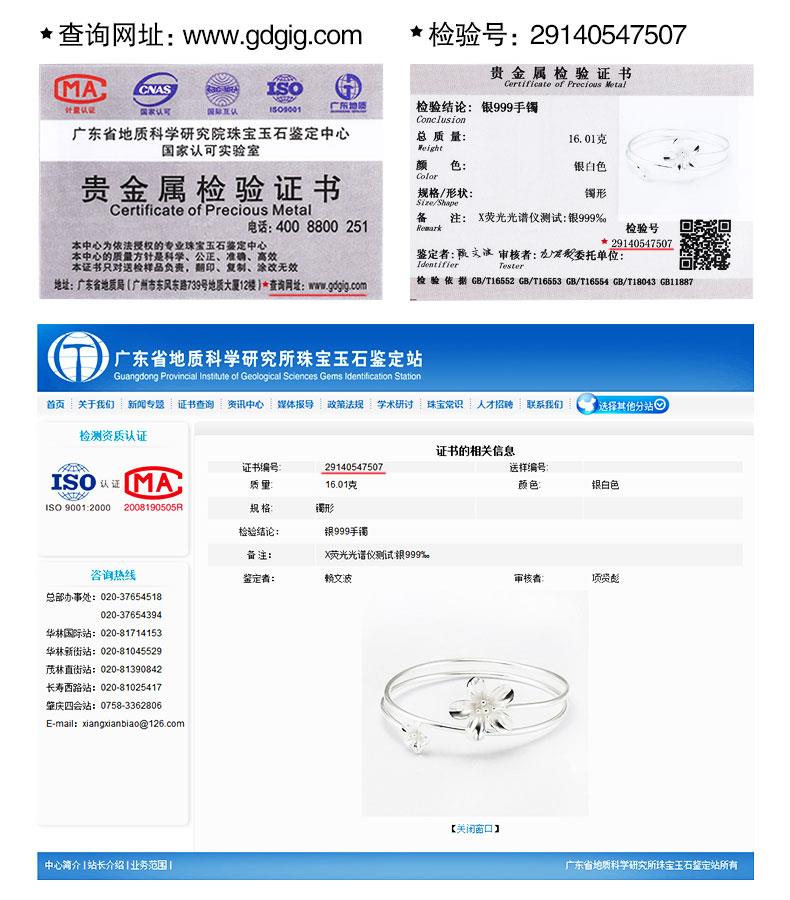 PFH049301255A-6
